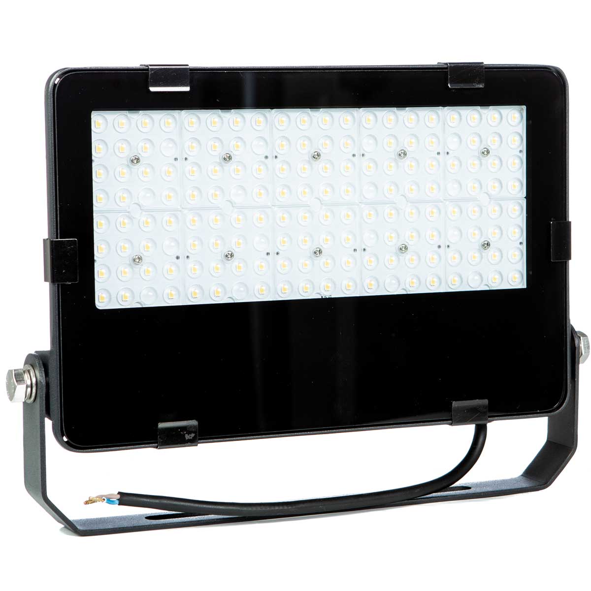 Farmy LED Floodlight 100 W