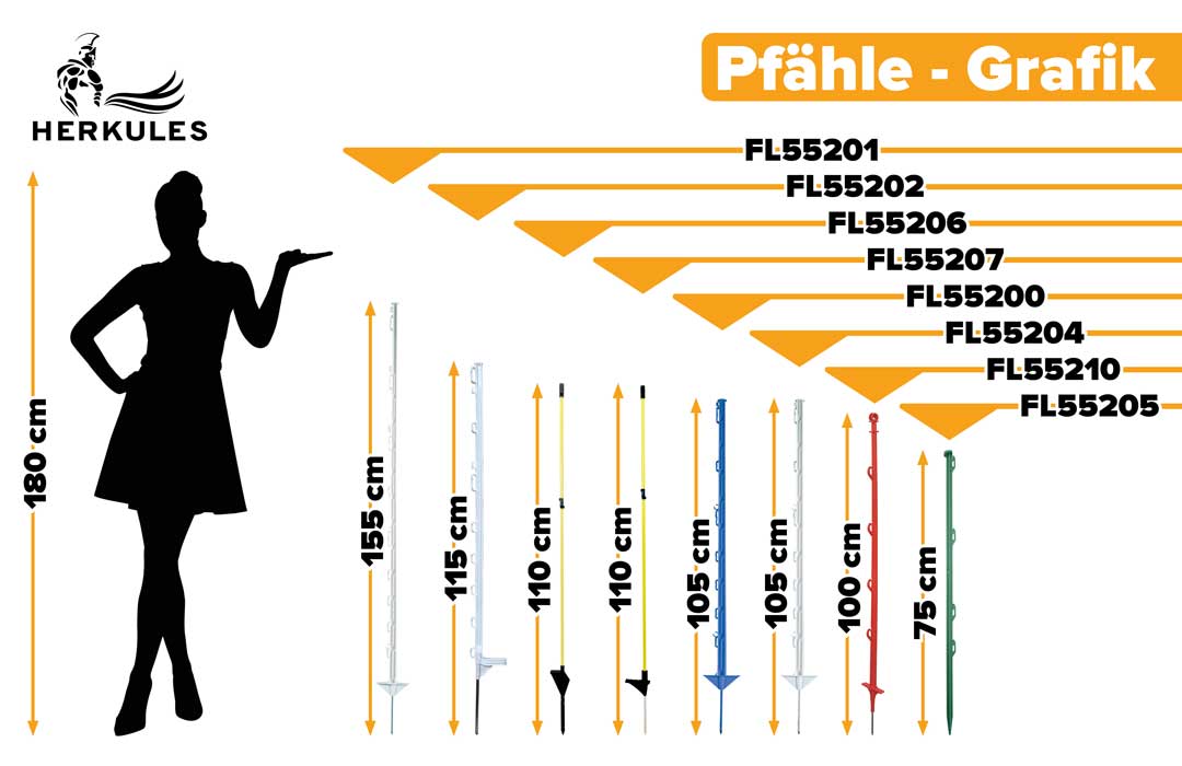 Phaehle-Legende-WEB (1)